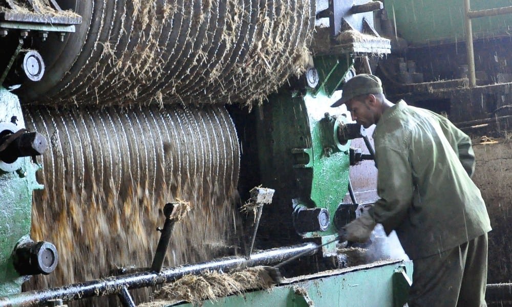Cuba tem menor produção de açúcar em 120 anos Conexão Política