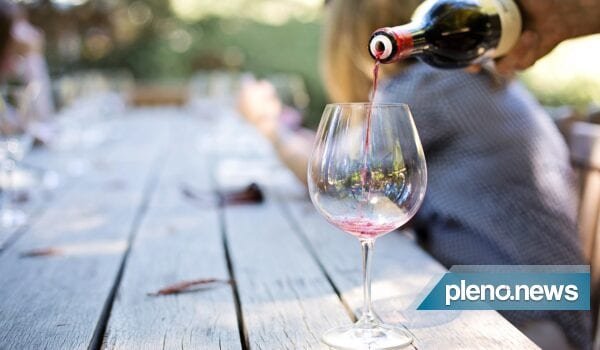 Ano de 2020 foi de recordes para a produção de vinho nacional