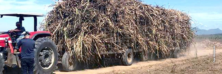 Itapemirim/ES renova incentivo a produtores de cana-de-açúcar