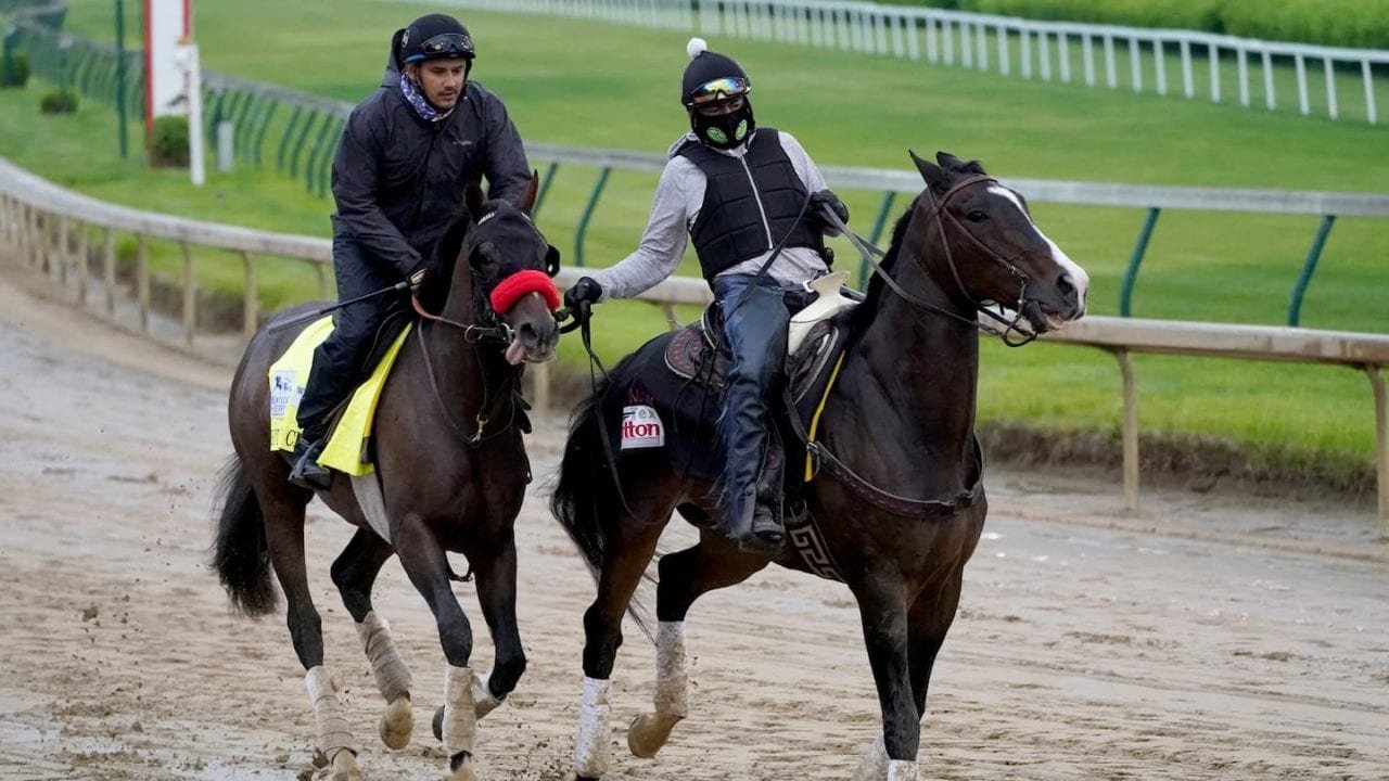 Escolha Kentucky Derby, apostas trifecta e superfecta