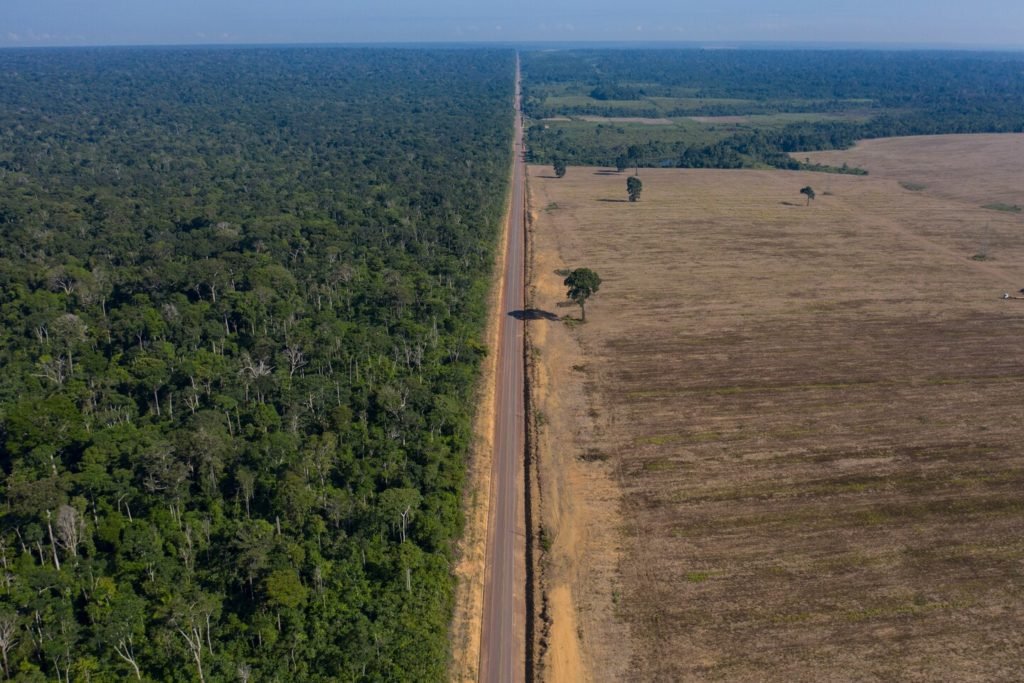Alertas de desmatamento na Amazônia brasileira aumentam pelo 2º mês