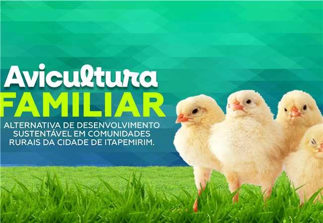 Programa de avicultura vai beneficiar 500 famílias de comunidades rurais de Itapemirim