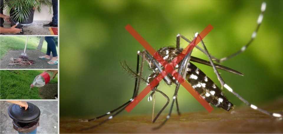 Sesa divulga 44° boletim da dengue, zika e chikungunya