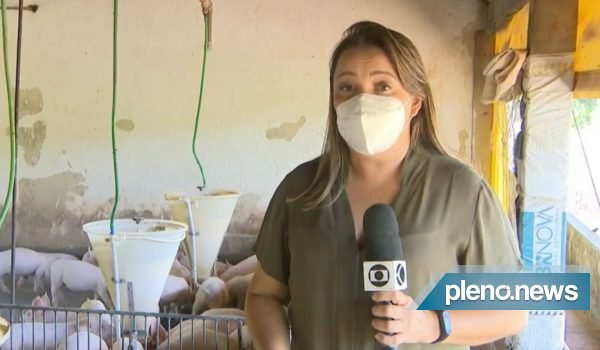 Repórter da Globo é ‘atacada’ por porcos durante gravação