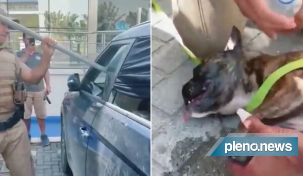 Vídeo: PM quebra vidro de carro de luxo para resgatar cachorro
