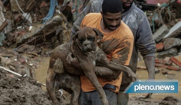 Tragédia! Confira imagens de Petrópolis após fortes chuvas