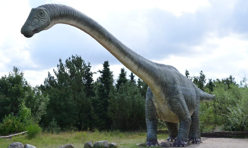 Pesquisadores encontram 1° ninho de dinossauros no Brasil