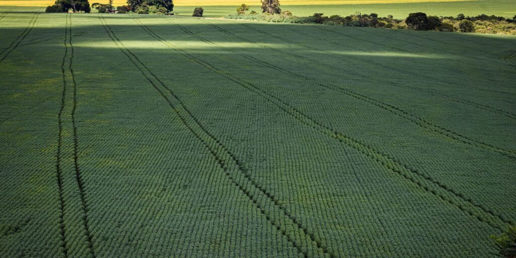Valor da Produção Agropecuária deve chegar a R$ 1,227 trilhão este ano
