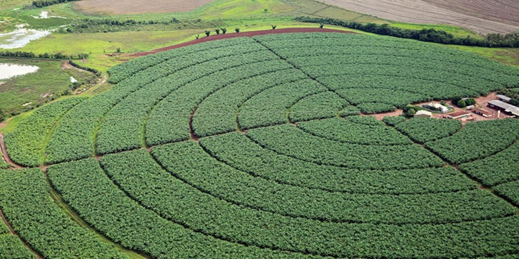 Brasil negocia aumento da importação de potássio da Jordânia