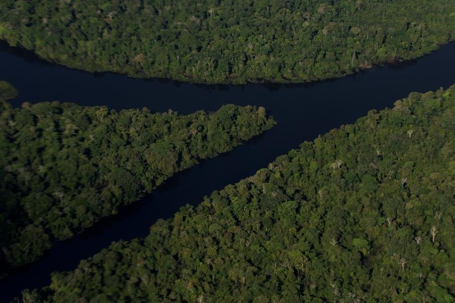 Amazonas: Governo monta força-tarefa para achar jornalista britânico e indigenista