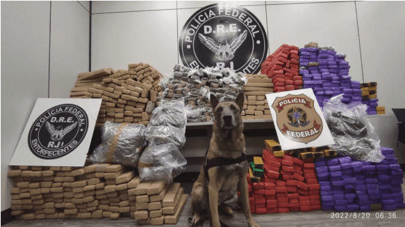 Cão farejador encontra 890 kg de maconha em carreta no Rio