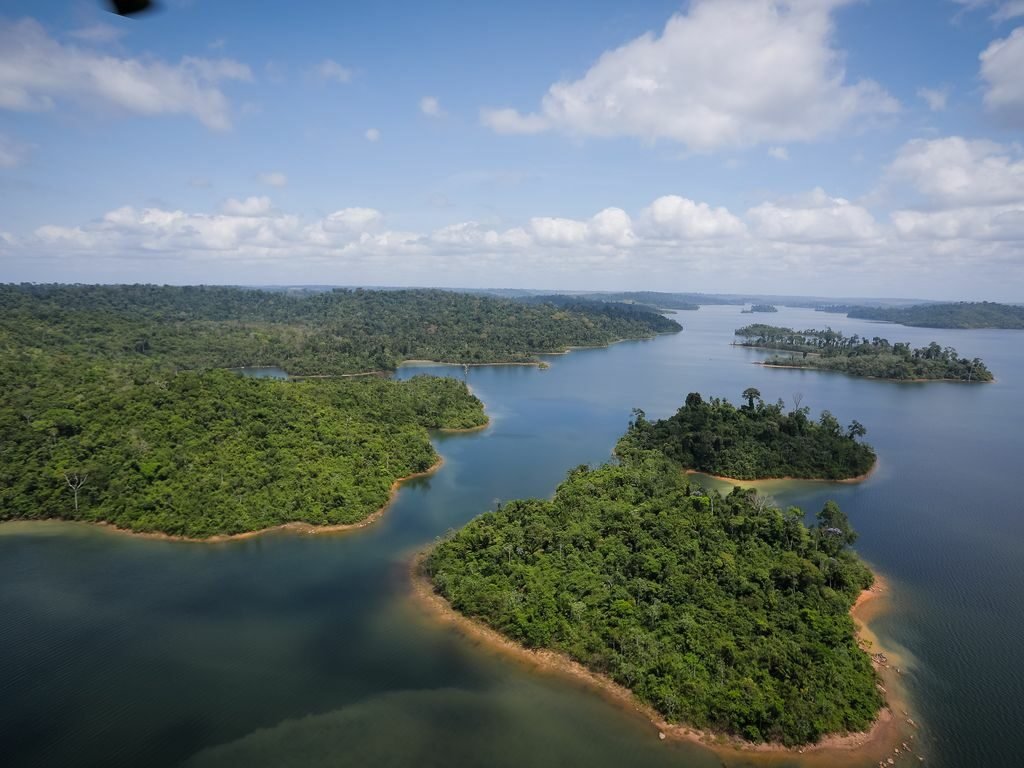STF ordena que governo reative o Fundo Amazônia em 60 dias