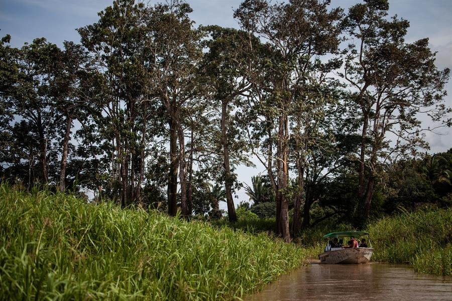 Governo Lula já bate recorde de desmatamento na Amazônia