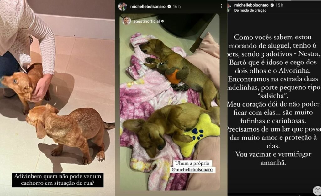 Michelle Bolsonaro resgata duas cadelas na estrada para adoção