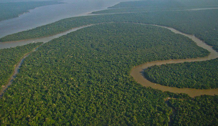 Desmatamento na Amazônia tem 2º pior trimestre desde 2008