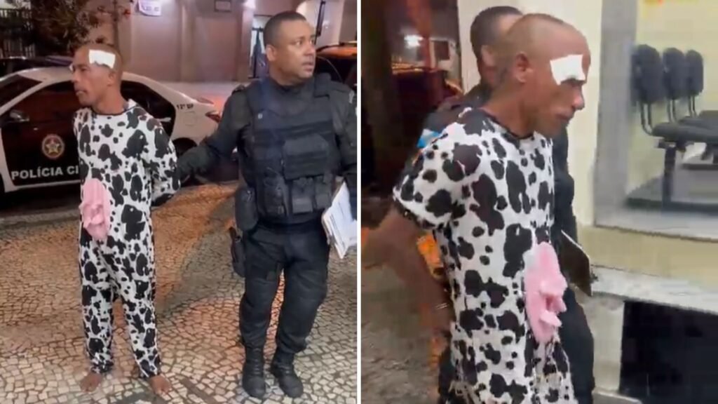 Ladrão fantasiado de vaca é preso após tentar furtar mochila