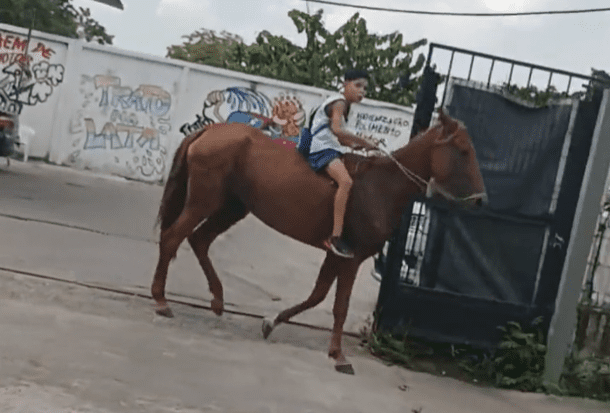 Menino viraliza por ir a escola a cavalo após pneu de bike furar