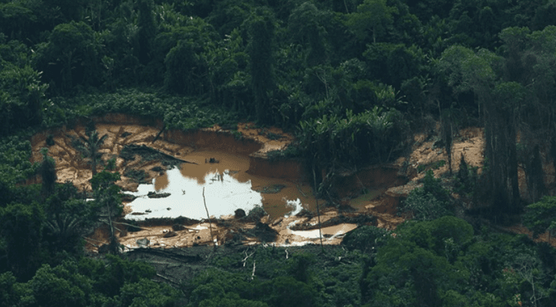 Mulher é encontrada morta em Terra Indígena Yanomami